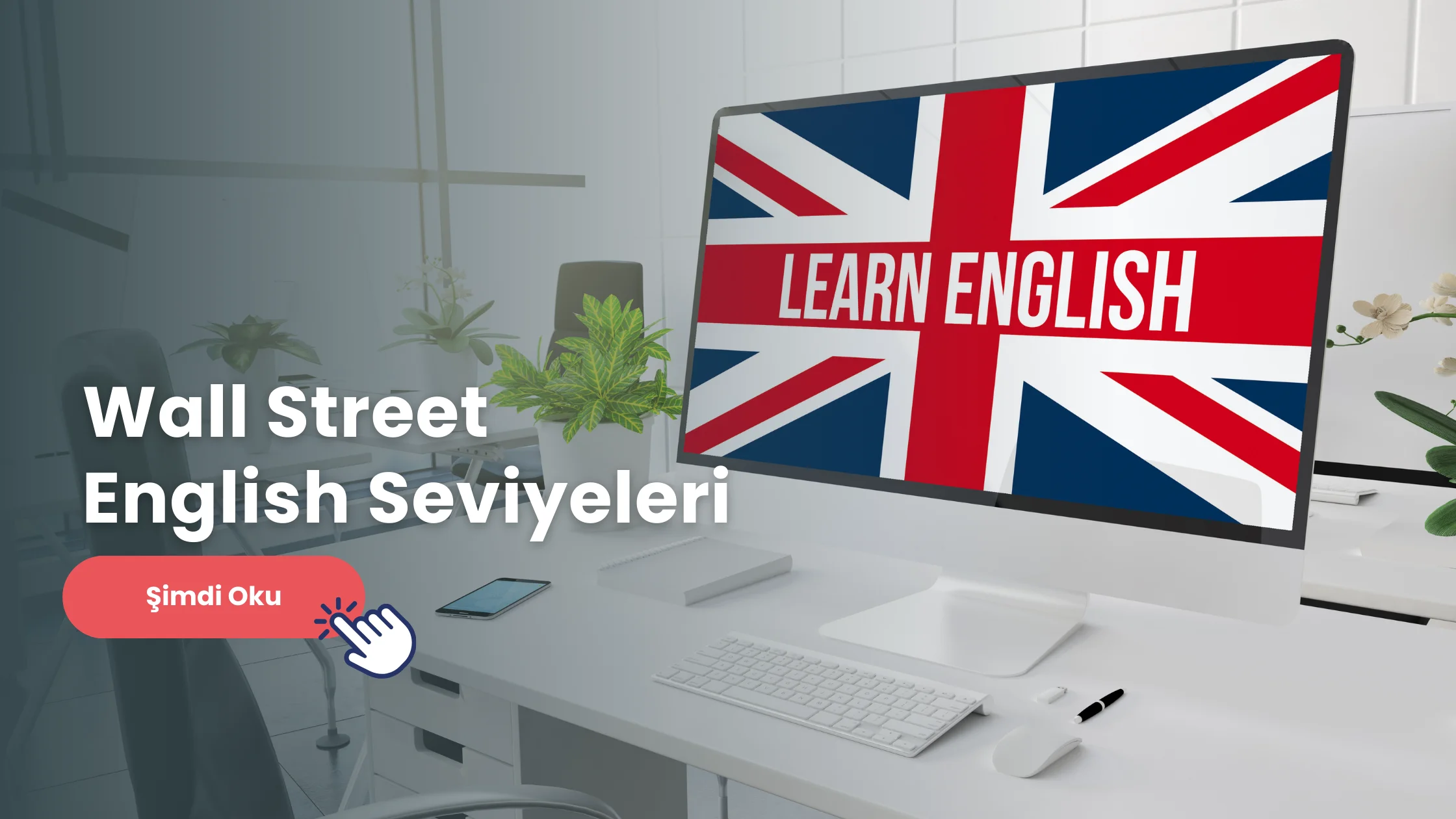 wall street english seviyeleri